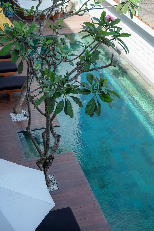 Hostel Dip & Doze Living Canggu Exteriér fotografie